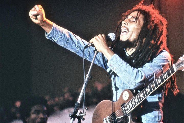 Bob Marley's Nine Mile Admission and Guided Tour from Montego Bay