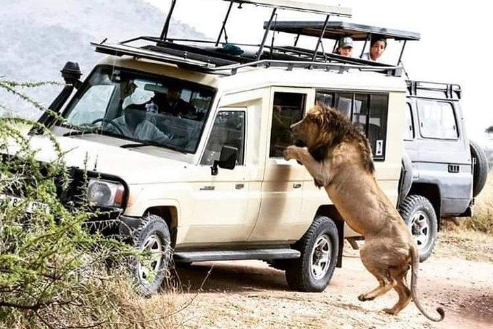2 Days / 1 Night Join group safari