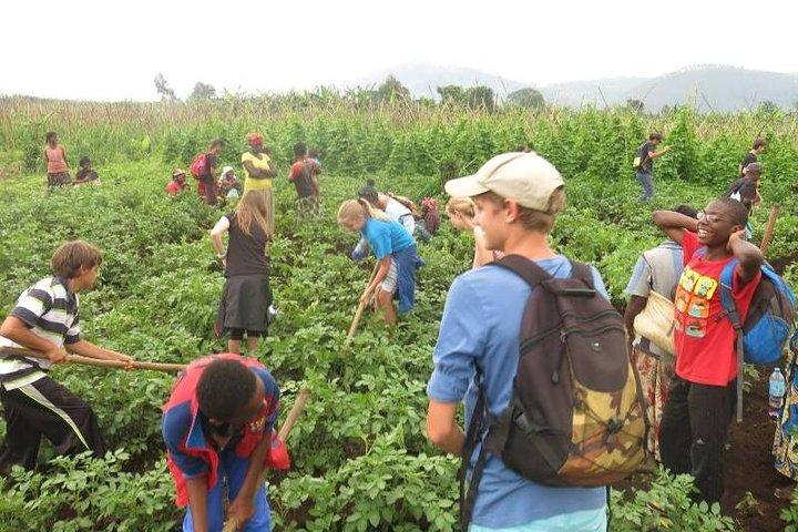 Culinary Tours & Banana Beer Tasting