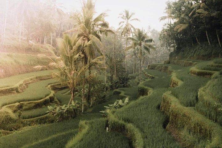 Costumize Ubud Traditional Village & Sightseeing Day Trip