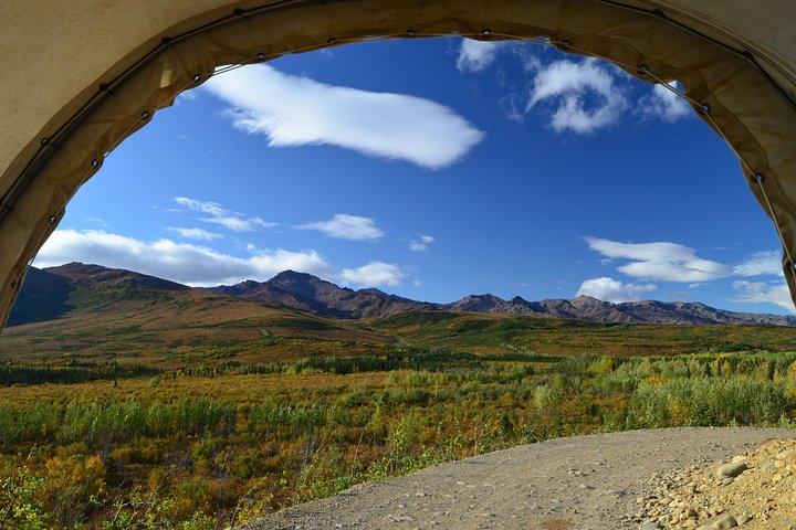 Horse-Drawn Covered Wagon Ride with Backcountry Dining