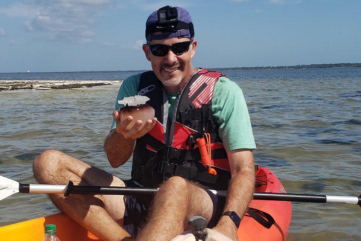 Manatee and Dolphin Kayaking | Wildlife Refuge (Titusville)