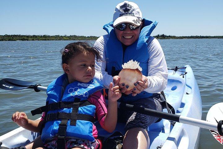 Manatee and Dolphin Kayaking | Wildlife Refuge (Titusville)