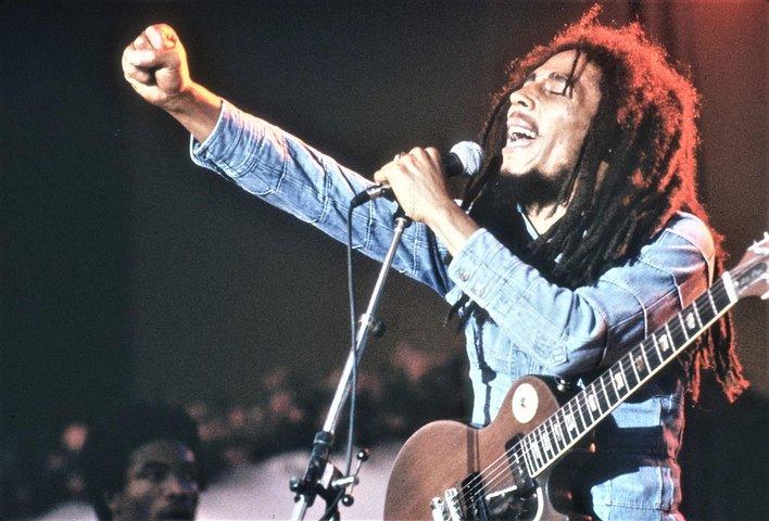 Bob Marley's Nine Mile Day-Trip with Admission & Guided Tour from Runaway Bay