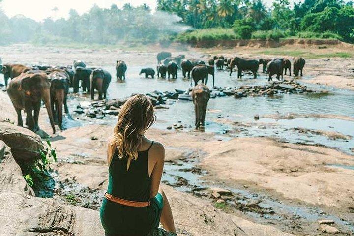 Kandy & Nuwara Eliya | 2 Days Tour