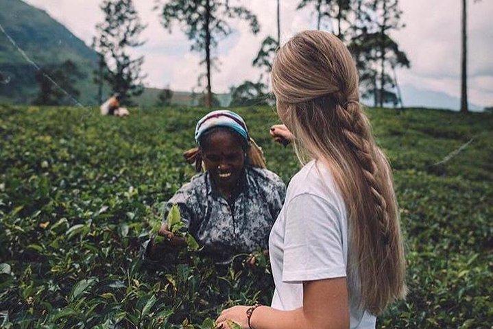 Kandy & Nuwara Eliya | 2 Days Tour