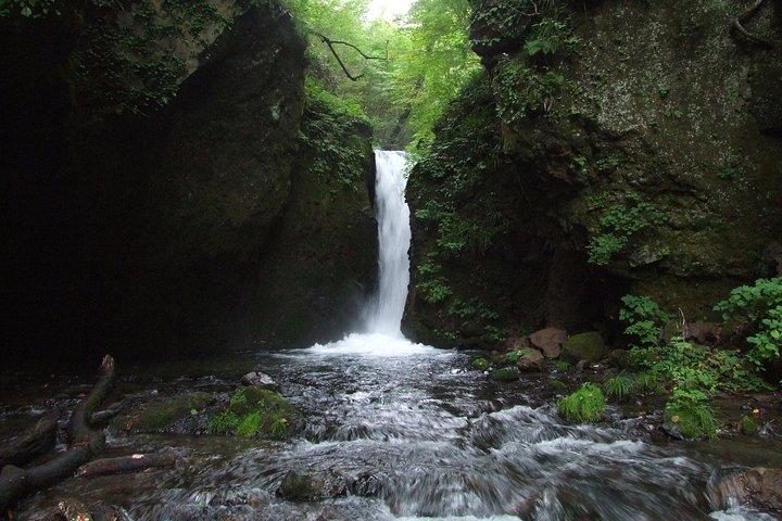Relax and refresh in Karuizawa Forest! Shinanoji down trekking around two people
