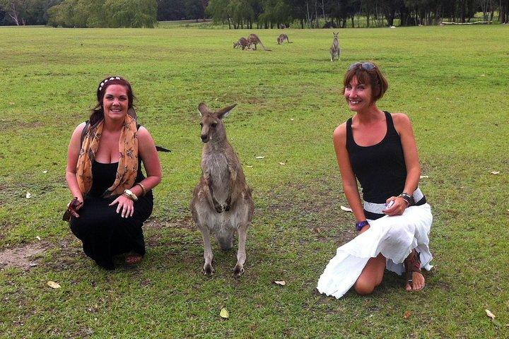 Hunter Valley Private Wine Tasting Tour from Sydney