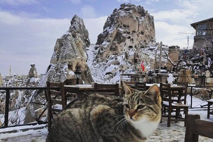Cappadocia Private Day Trip from Istanbul with Flights & Lunch