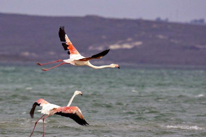West Coast Wonders Full Day Tour with Private Transfer