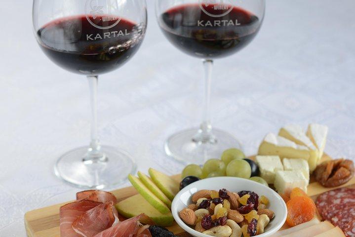 Wine Tasting Tour in Family winery Kartal in Skopje