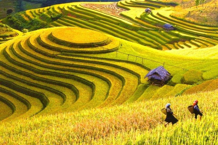 Trekking In Mu Cang Chai Tour 4 Days