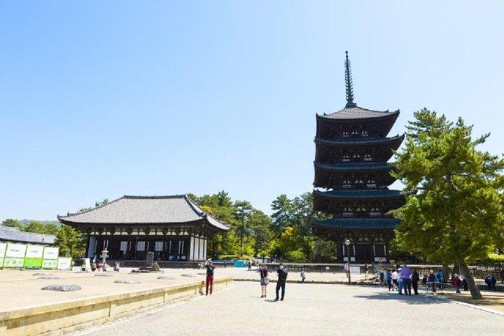 Nara Private Tour by Public Transportation from Osaka