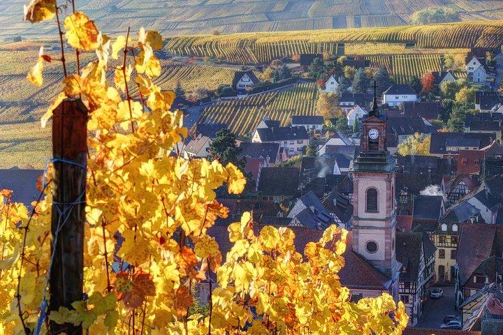 Alsace villages half day tour from Colmar