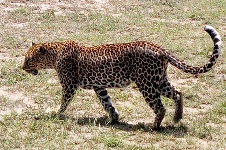 4 Days - Majestic Maasai Mara and Lake Nakuru Safari