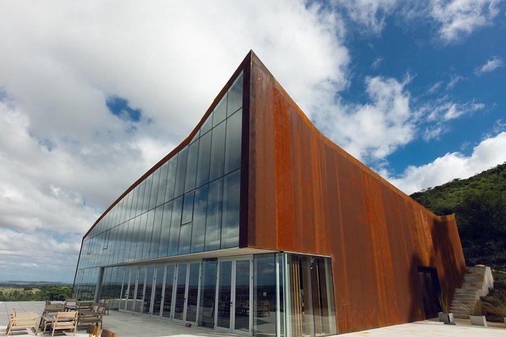 Guided Tour of the Winery Viña Edén