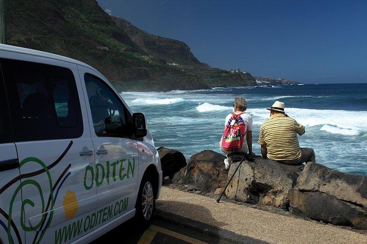 Teide National Park and North Tenerife Private Tour