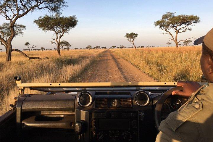 5 Days Serengeti Migration Safari