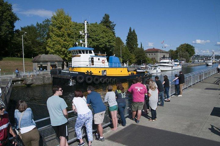 Seattle City and Snoqualmie Falls Half-Day Guided Tour