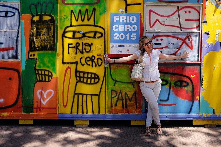 HIGH QUALITY Private Buenos Aires City Tour HD
