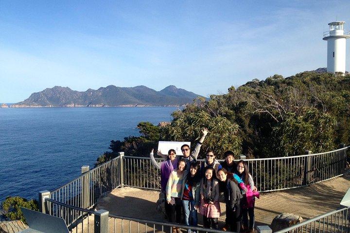Launceston: Wineglass Bay & Freycinet Explorer Day Trip