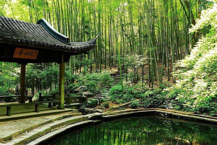 Yunxi Bamboo Forest and West Lake Private Day Tour with Tea Plantation Experience