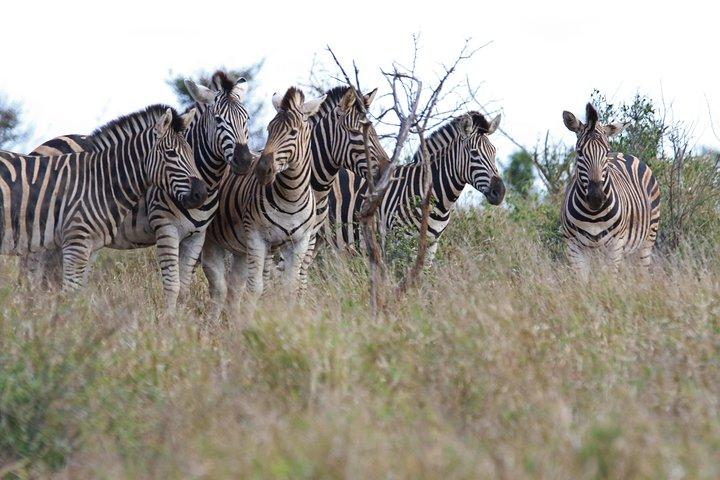 2 Days Lake Nakuru Safari