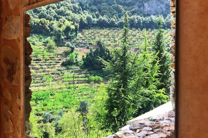 Cedars, Bsharre & Kozhaya Day Tour