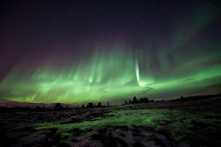 Northern Lights Husky Visit