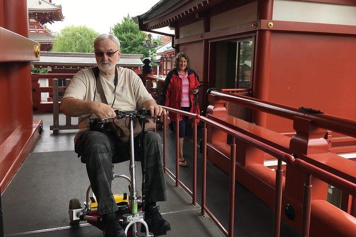 Full-Day Accessible Tour of Tokyo for Wheelchair Users