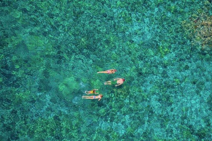 Kealakekua Bay Afternoon Snorkel: Family Fun on the Kona Coast