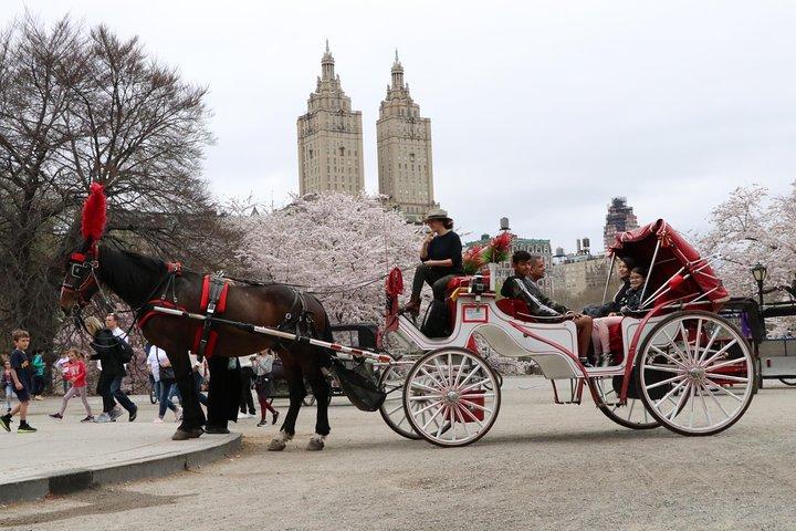 VIP Horse Carriage Ride through Central Park (Up to 4 Adults)