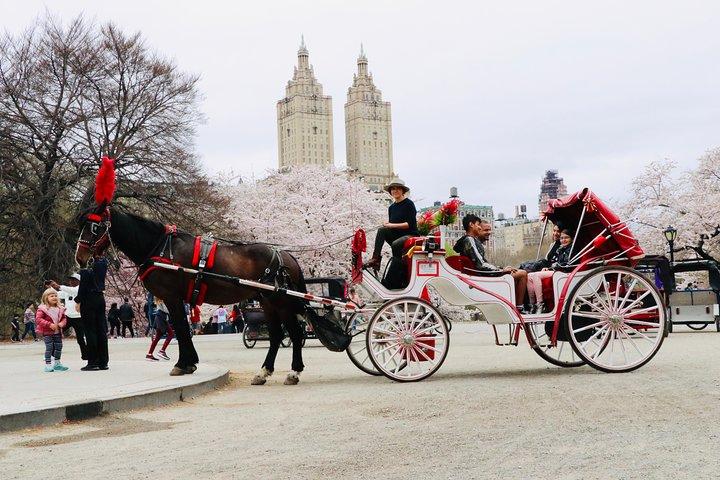 NYC Horse Carriage Ride in Central Park (50 Min. Up to 4 Adults)