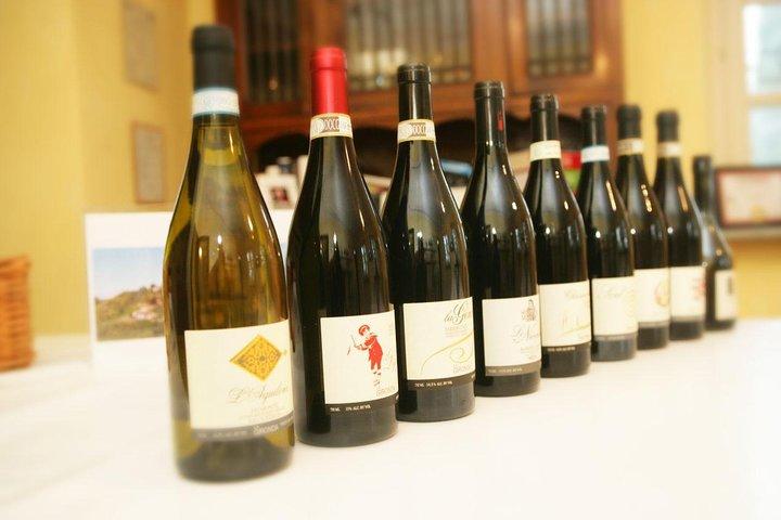 Visit among vineyards and wine cellar with wine tasting in Nizza Monferrato