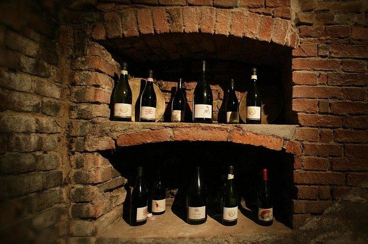 Visit among vineyards and wine cellar with wine tasting in Nizza Monferrato