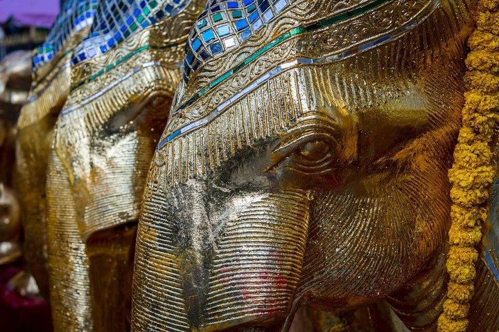 Bangkok Photography Masterclass - Private Photography Lesson