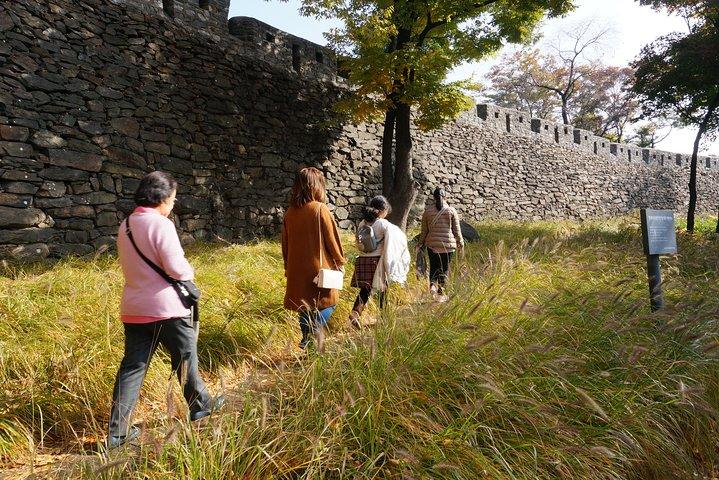 Private Seoul Wall Trekking [Inwangsan, Bugaksan, Naksan Park, N-Seoul Tower]