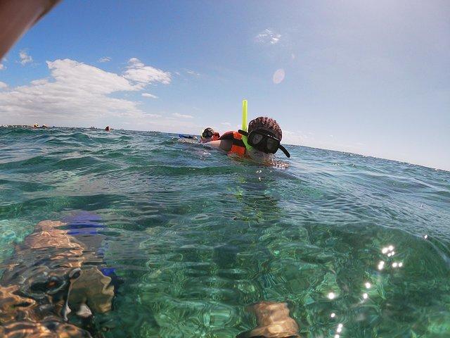 Reef Snorkel in Puerto Morelos With Lunch And Transportation