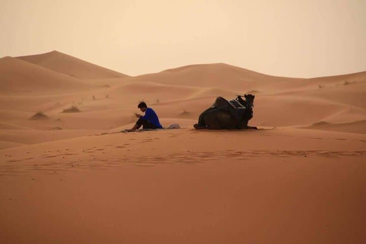 Merzouga Sunset Adventure: Camel, Quad, Buggy or 4WD