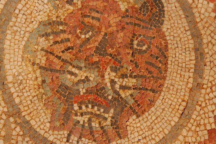 Villa Romana del Casale Mosaics Unesco Private Tour