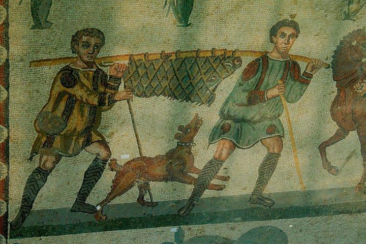Villa Romana del Casale Mosaics Unesco Private Tour