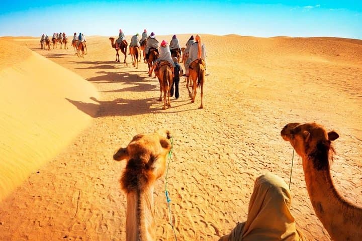 Private - Dinner in Dubai Desert with Camel Ride, BBQ Dinner and Belly Dance