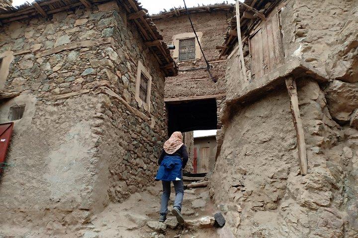 Atlas Mountains Day Trip from Marrakech with Berber Village Hike