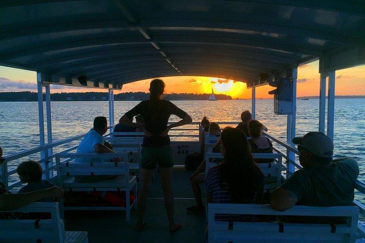 Hilton Head Dolphin Watching Cruise with Fireworks Display