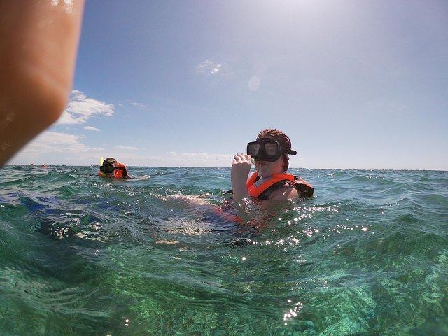 Reef Snorkel in Puerto Morelos With Lunch And Transportation