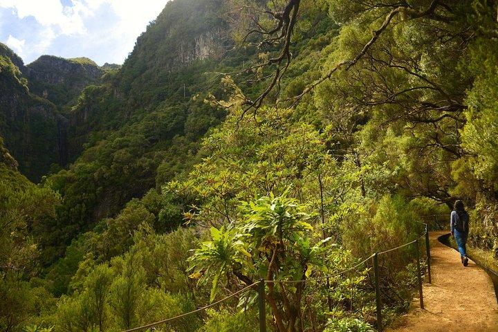 Rabaçal - Levada das 25 Fontes
