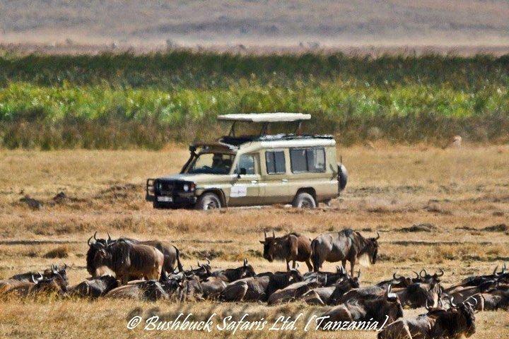 5 Days Serengeti Camping Safari