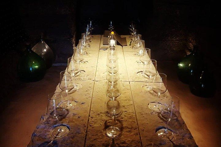Unique EnoBike experience with tasting in 2 excellent wineries