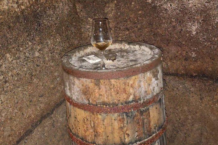Unique EnoBike experience with tasting in 2 excellent wineries