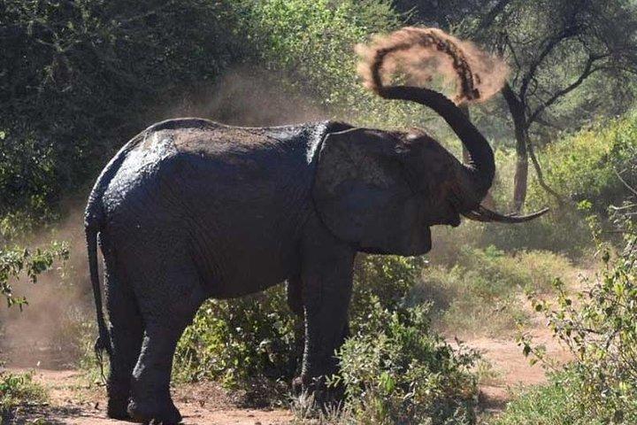 2 Days Africa Safari
